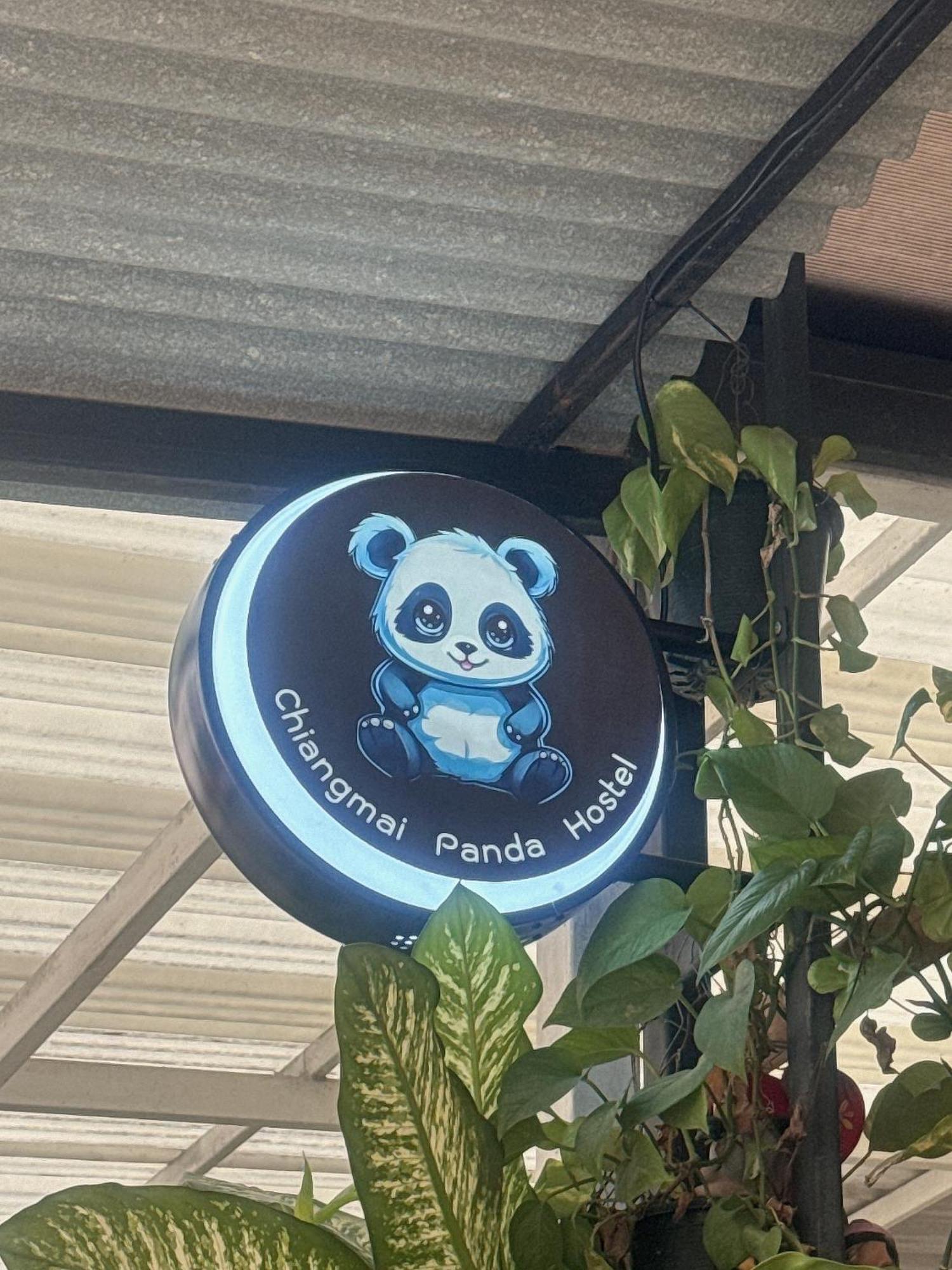 Chiang Mai Panda Hostel Экстерьер фото