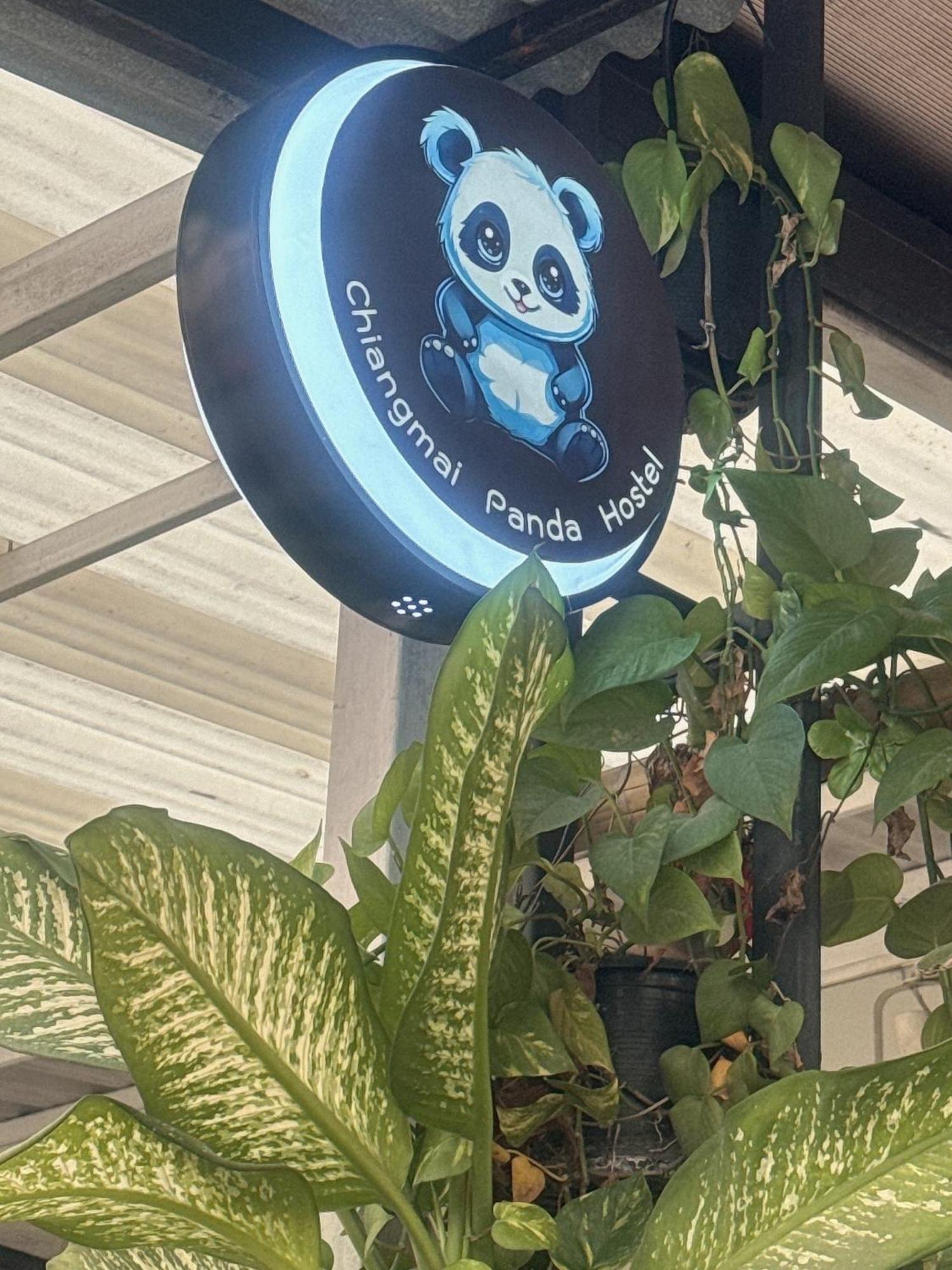 Chiang Mai Panda Hostel Экстерьер фото
